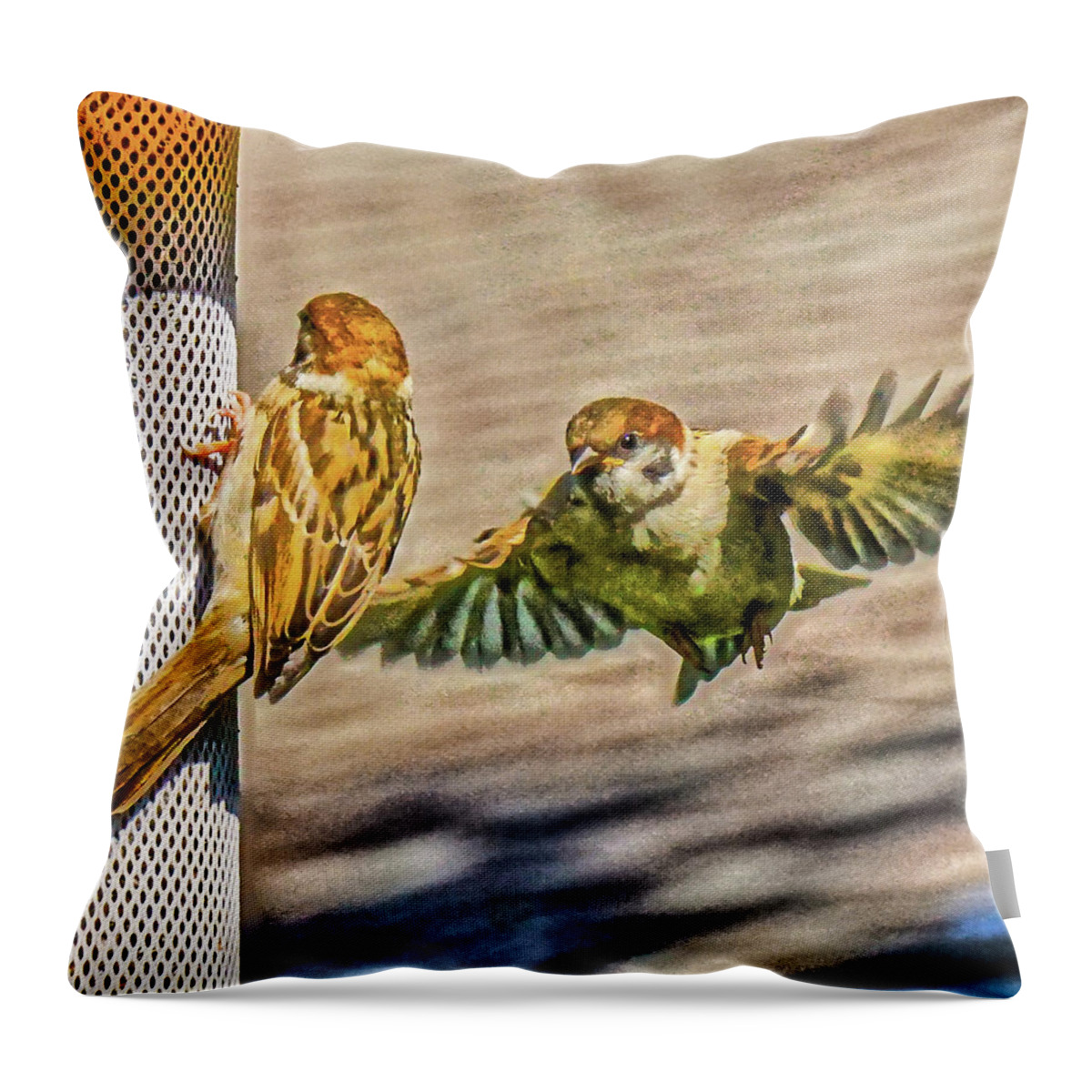 Sparrow Throw Pillow featuring the photograph Sparrows Feeding by Chris White by C H Apperson