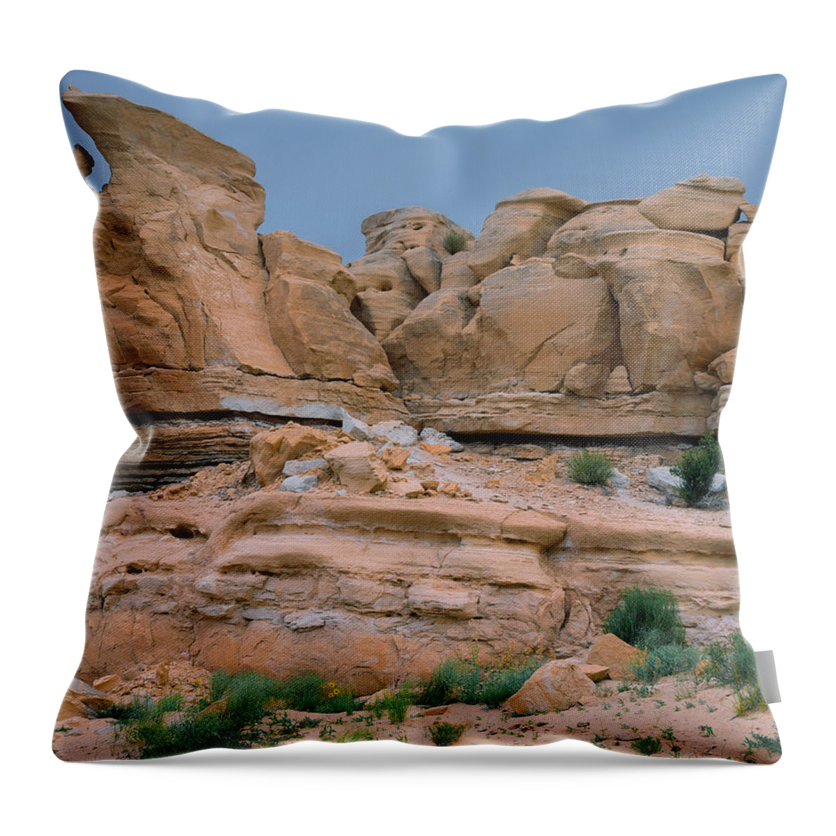 Landscape Throw Pillow featuring the photograph Spartan Look by Paul Breitkreuz