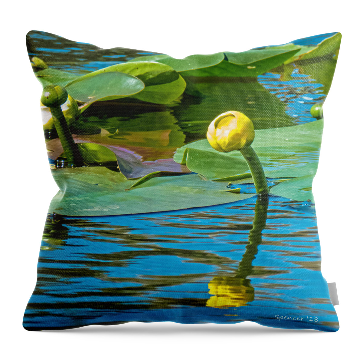 Plant Throw Pillow featuring the photograph Spatterdock Bloom by T Guy Spencer