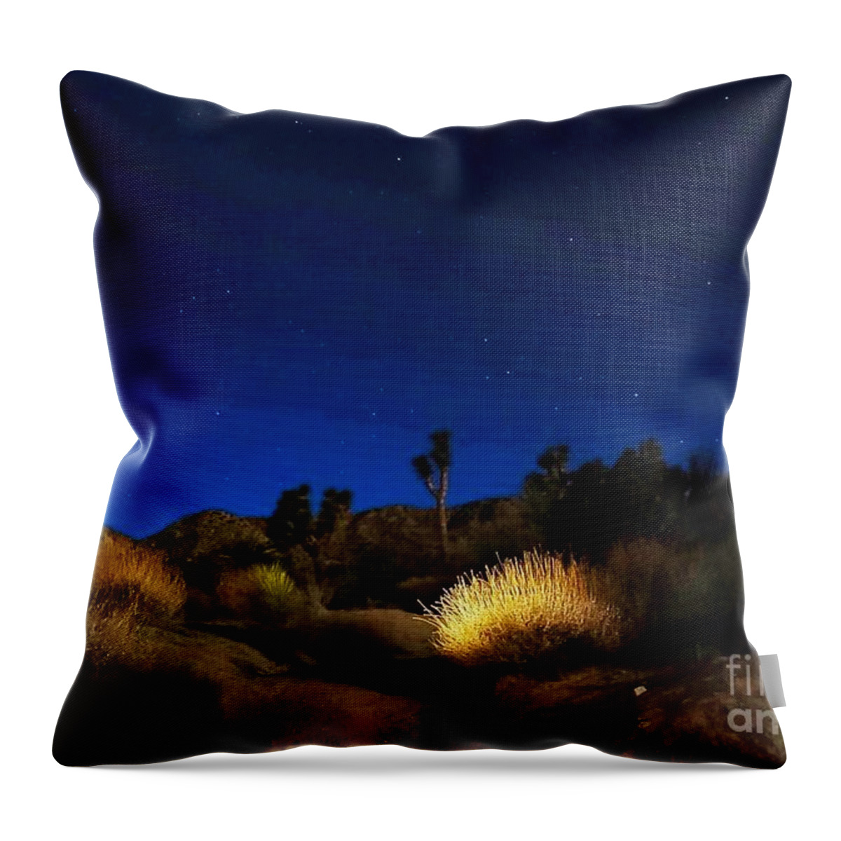 Desert Moon Throw Pillow featuring the photograph SPeciaL GLoW by Angela J Wright