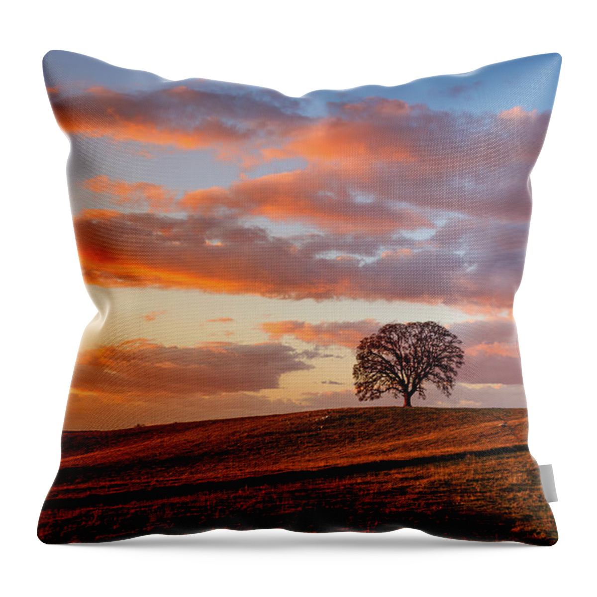 Blue Sky Throw Pillow featuring the photograph Special Moment by Greg Mitchell Photography