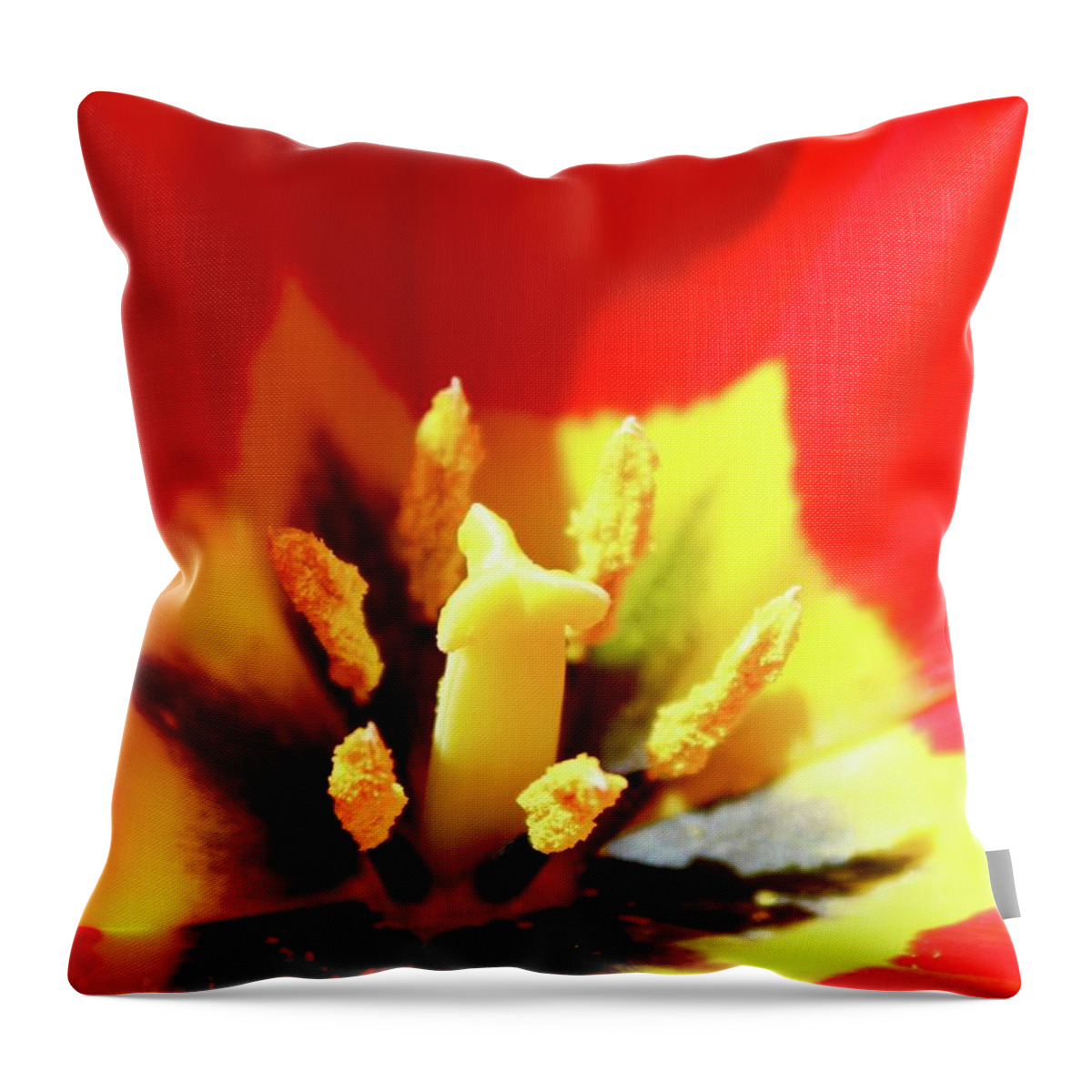 Photography Throw Pillow featuring the photograph Species Tulip POW by M E