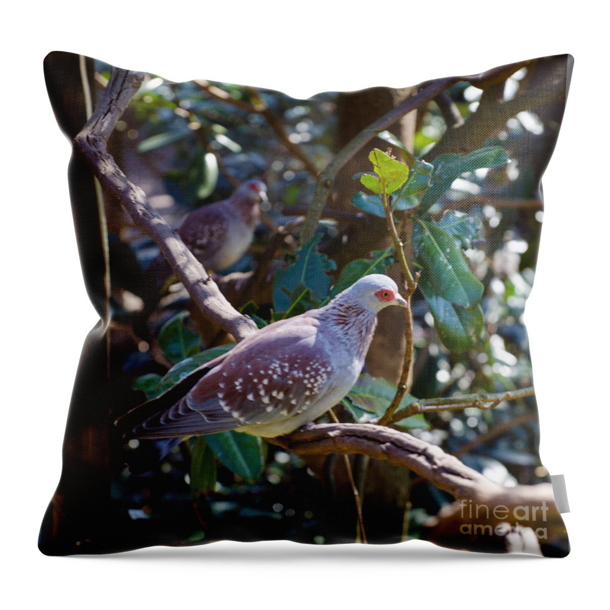 Bird Throw Pillow featuring the photograph Speckle Pigeon by Donna Brown