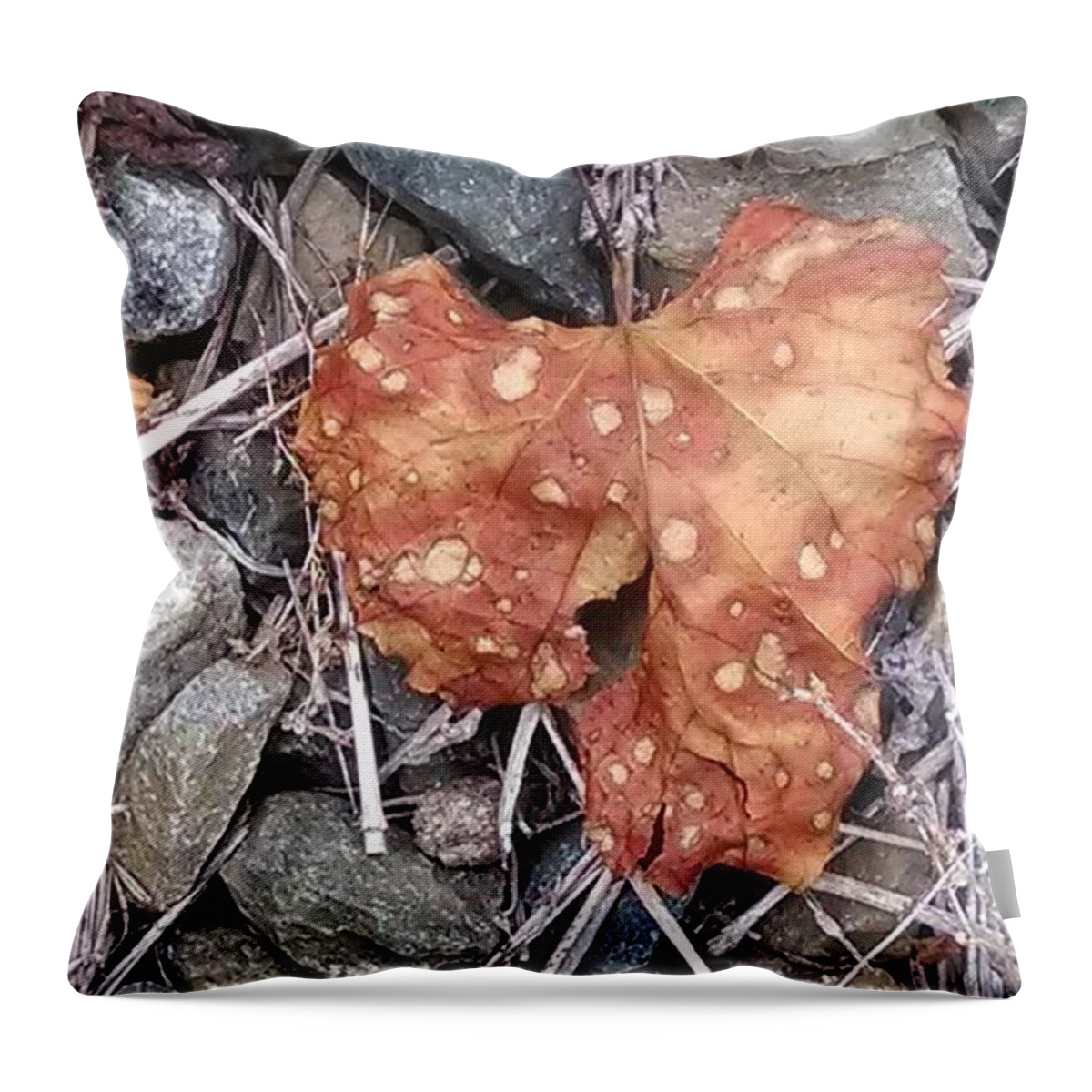 Leaf Throw Pillow featuring the photograph Speckled Leaf by Tammy Finnegan