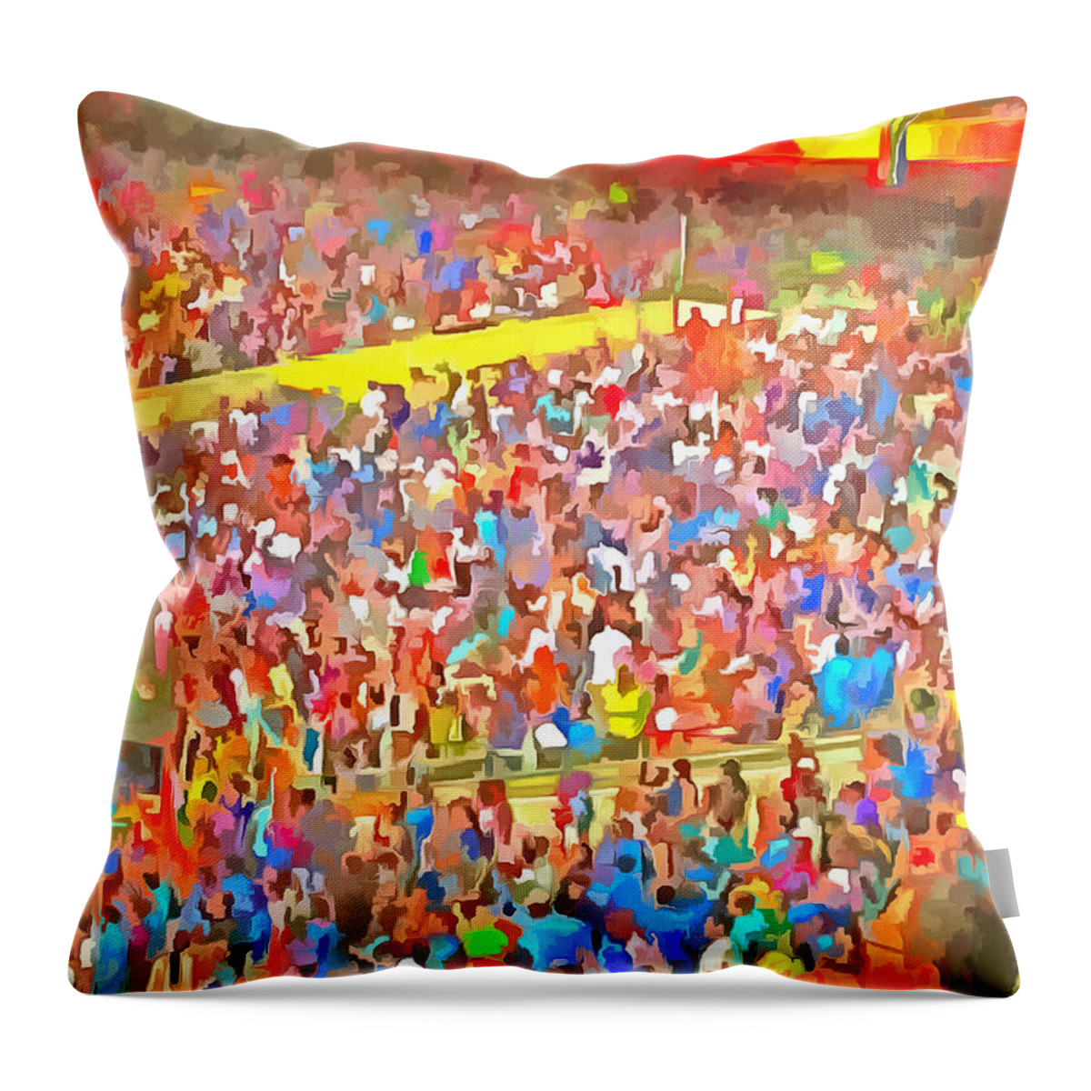 Spectators Throw Pillow featuring the photograph Spectators by Ashish Agarwal