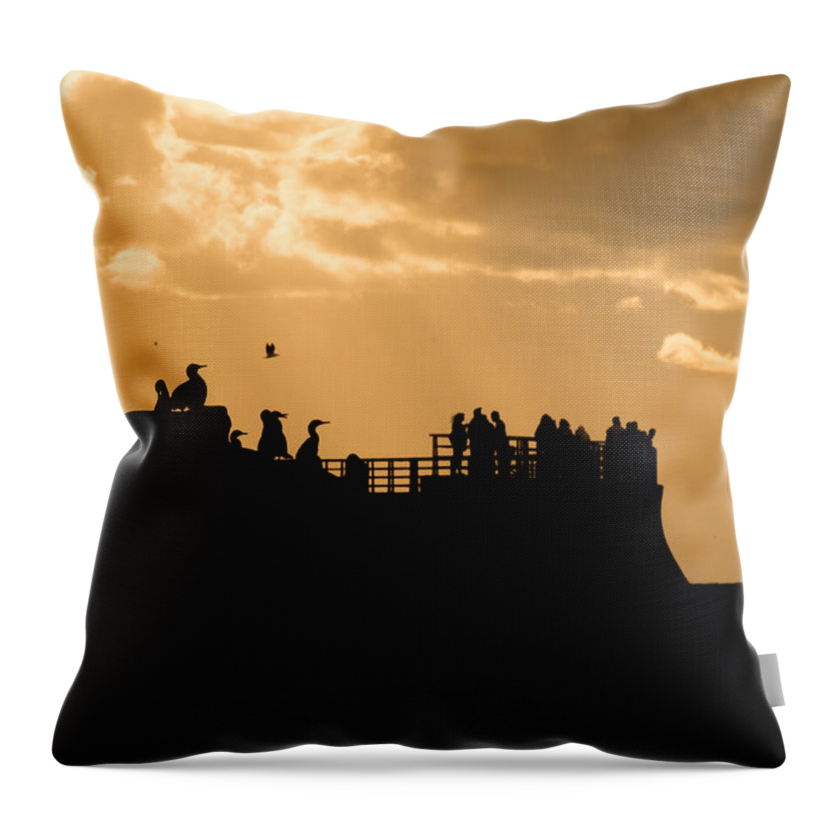 Ca Throw Pillow featuring the photograph Spectators by David Downs