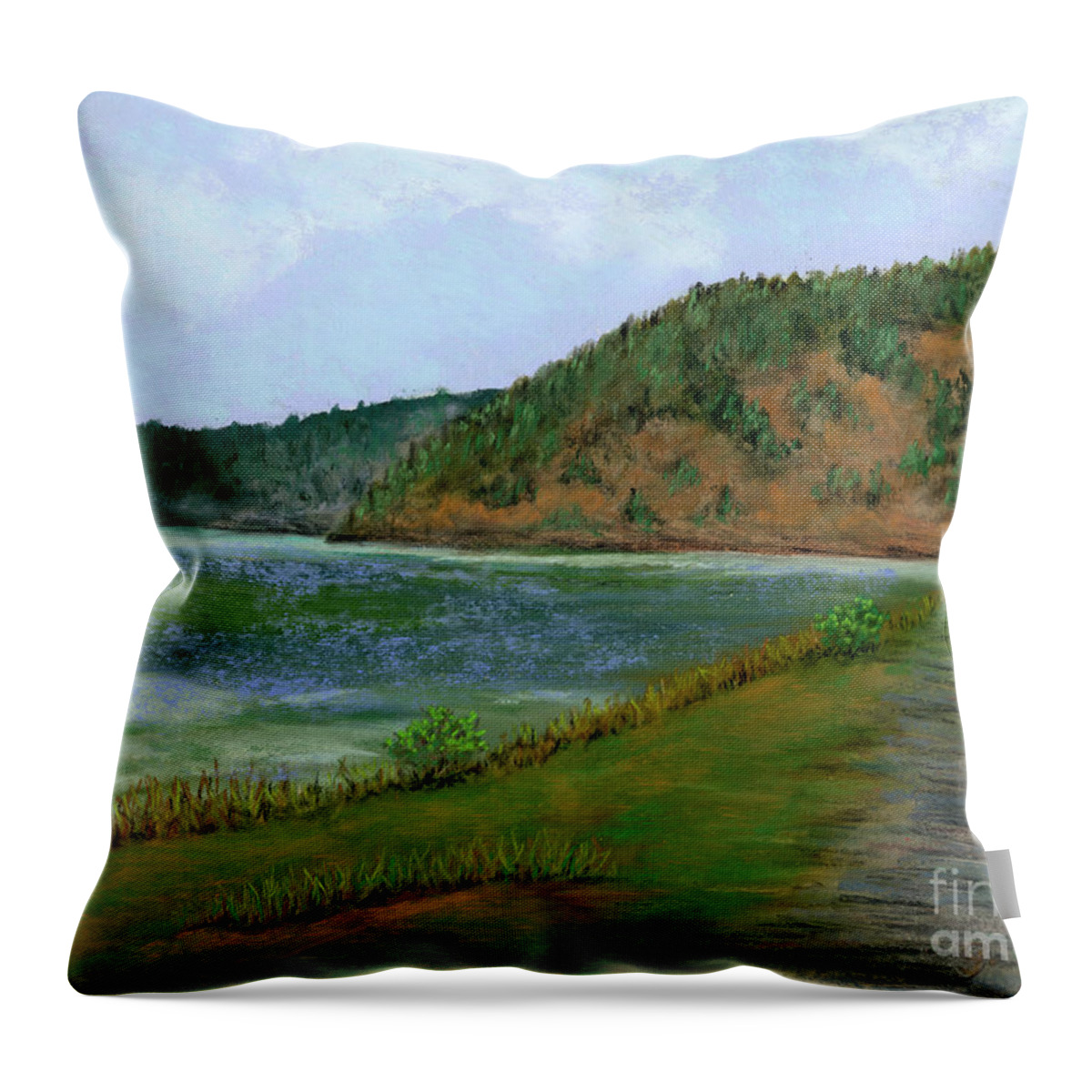 Spencer Throw Pillow featuring the pastel Spencer Spit by Ginny Neece