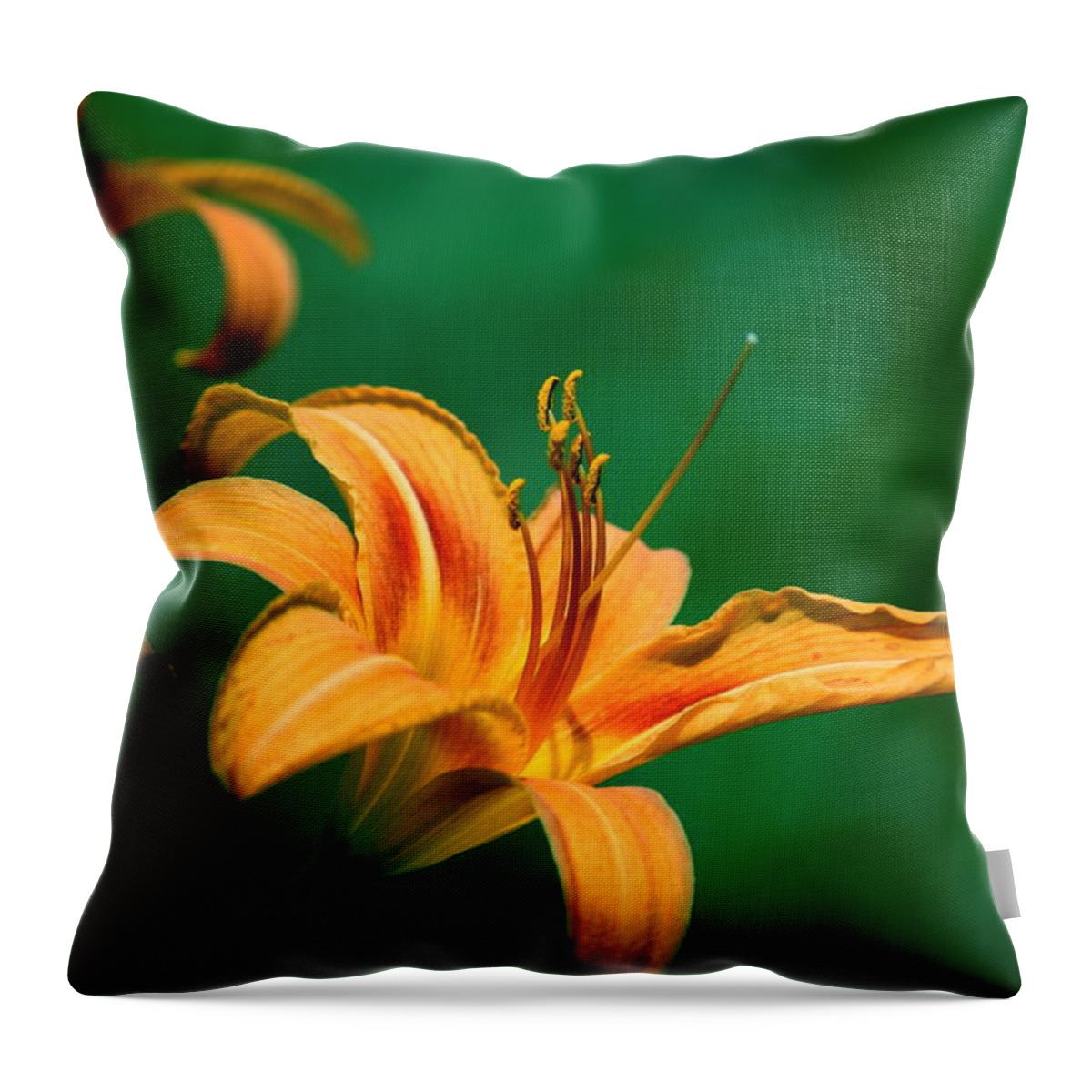 Spider Throw Pillow featuring the photograph Spider Lily 3 by Cathy Harper