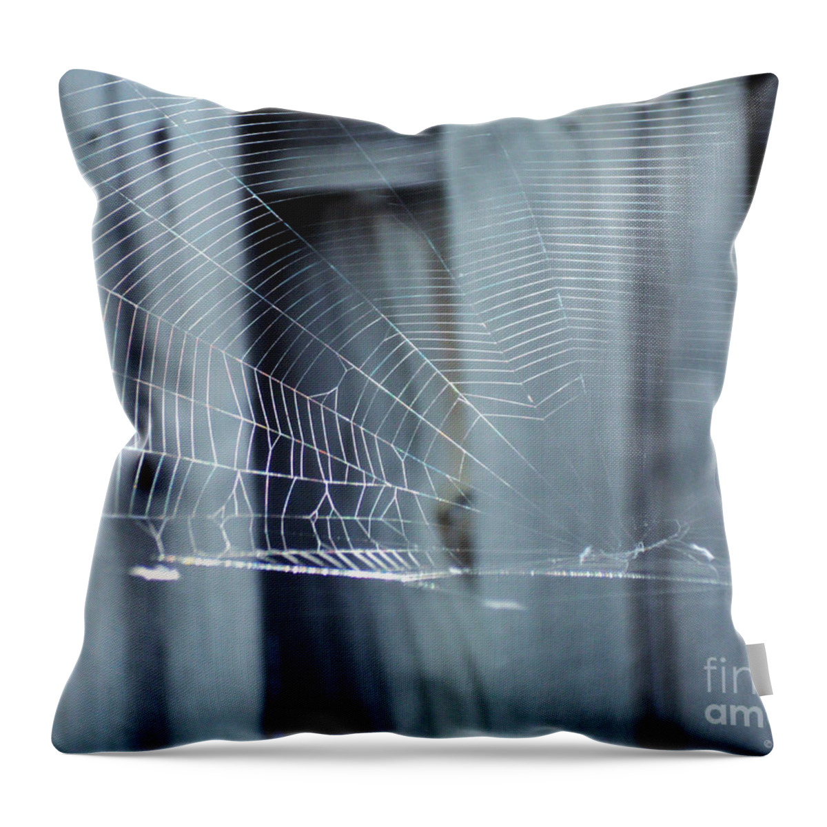 Cobwebs Throw Pillow featuring the photograph Spider Web by Megan Dirsa-DuBois