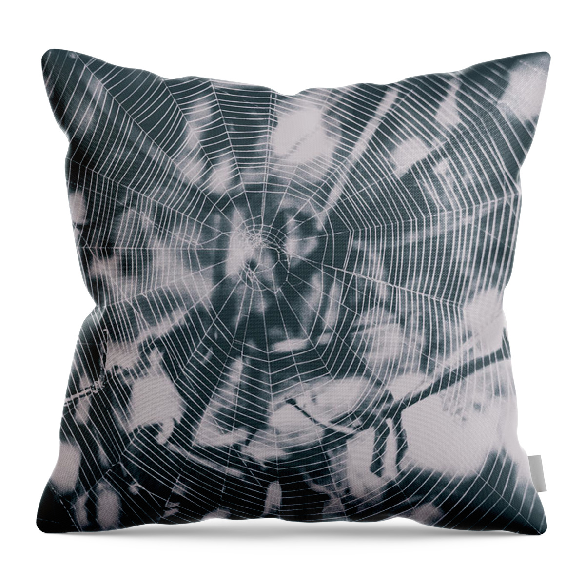 Spider Throw Pillow featuring the photograph Spider webs and spiders by Maxwell Dziku