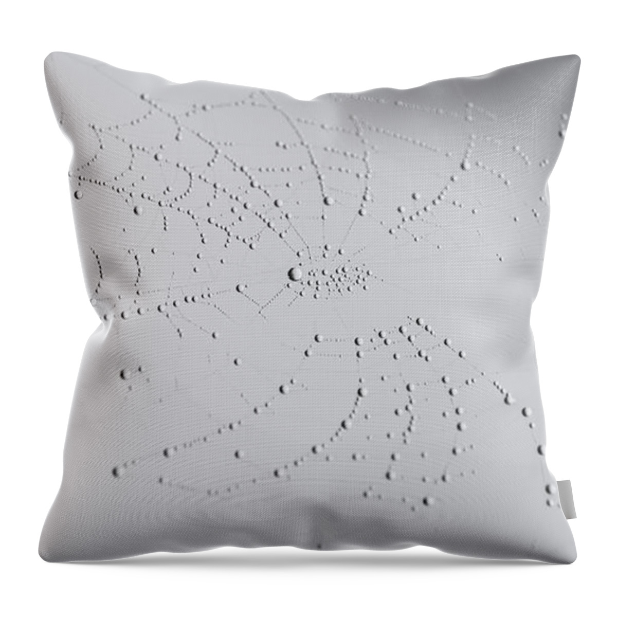 Nature Throw Pillow featuring the photograph Spider Web after the storm by Andrea Anderegg