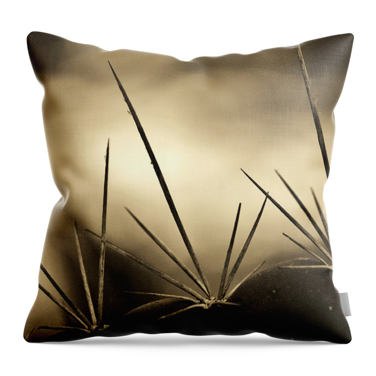 Cactus Throw Pillow featuring the photograph Spiked by Melanie Moraga
