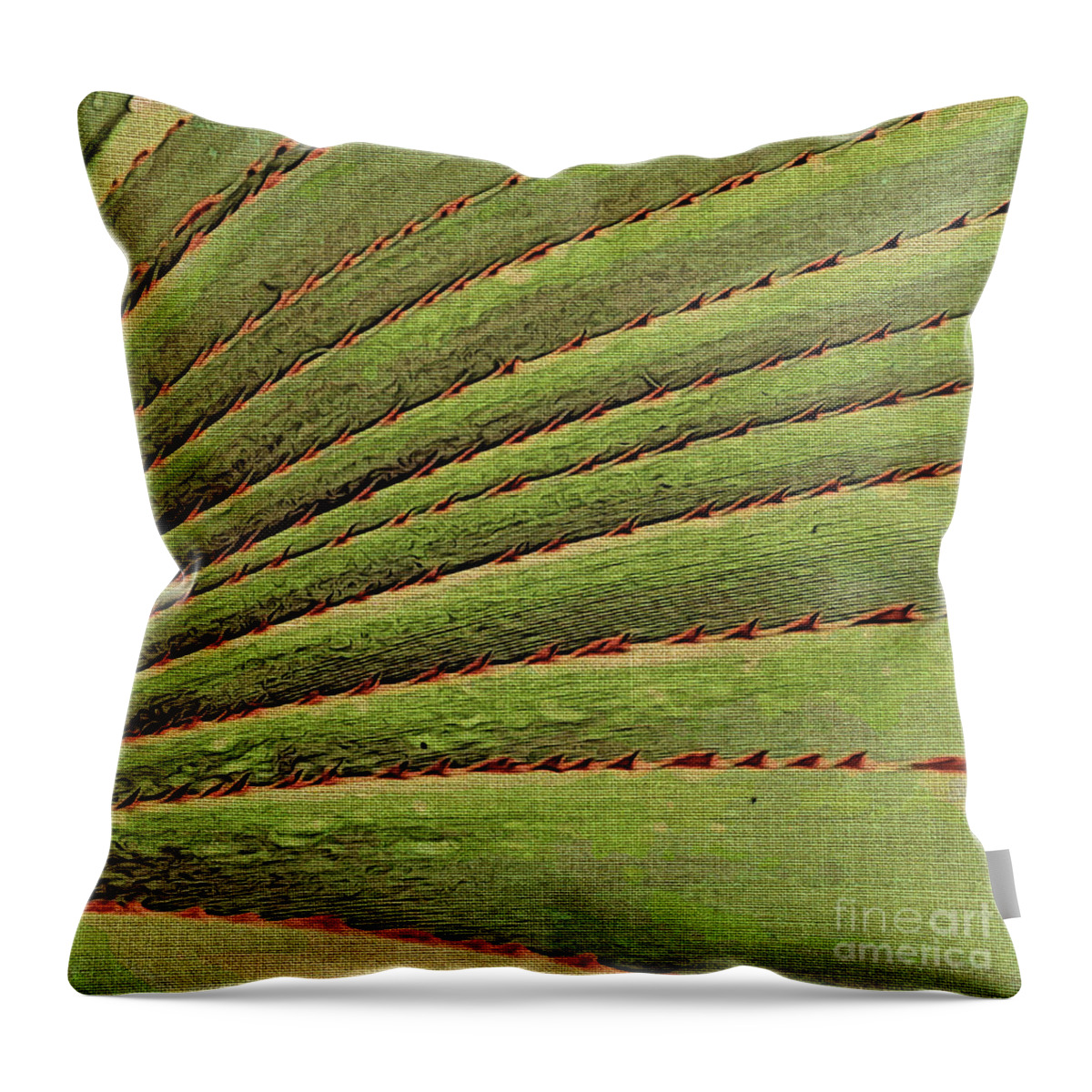 Leaves Throw Pillow featuring the photograph Thorns by Onedayoneimage Photography