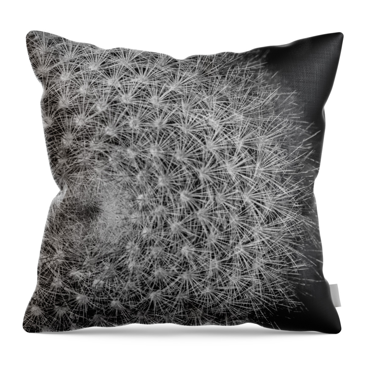 Abstract Throw Pillow featuring the photograph Spiky Moon by Ronda Broatch