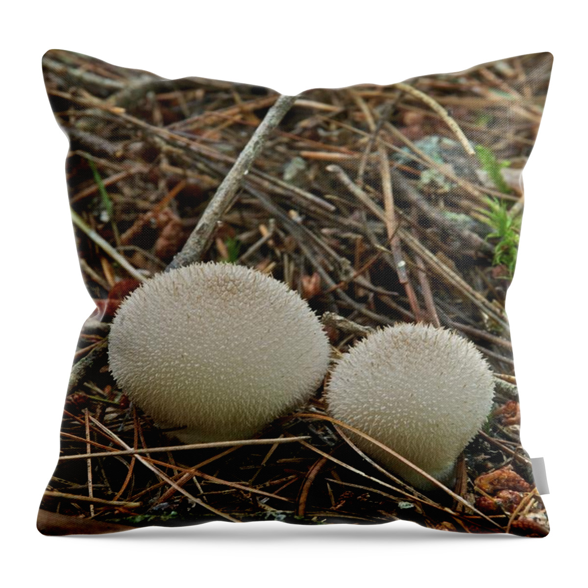 Puff Ball Throw Pillow featuring the photograph Spiny Puff Balls by Michael Peychich