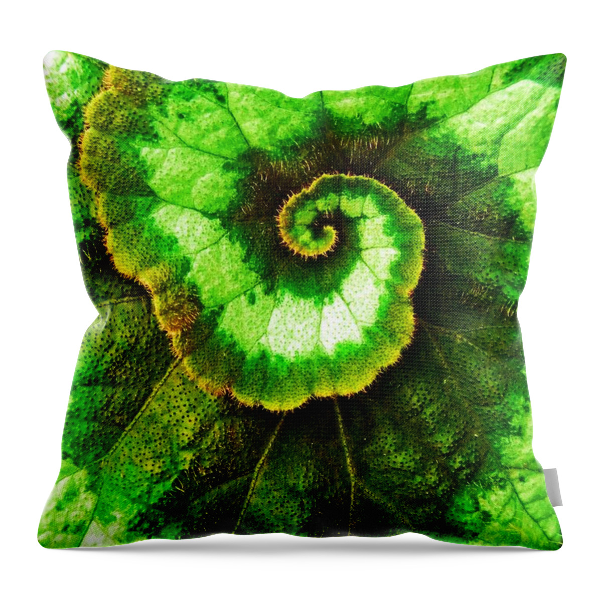 Plants Green Throw Pillow featuring the photograph Spiral Leaf by Michael Ramsey