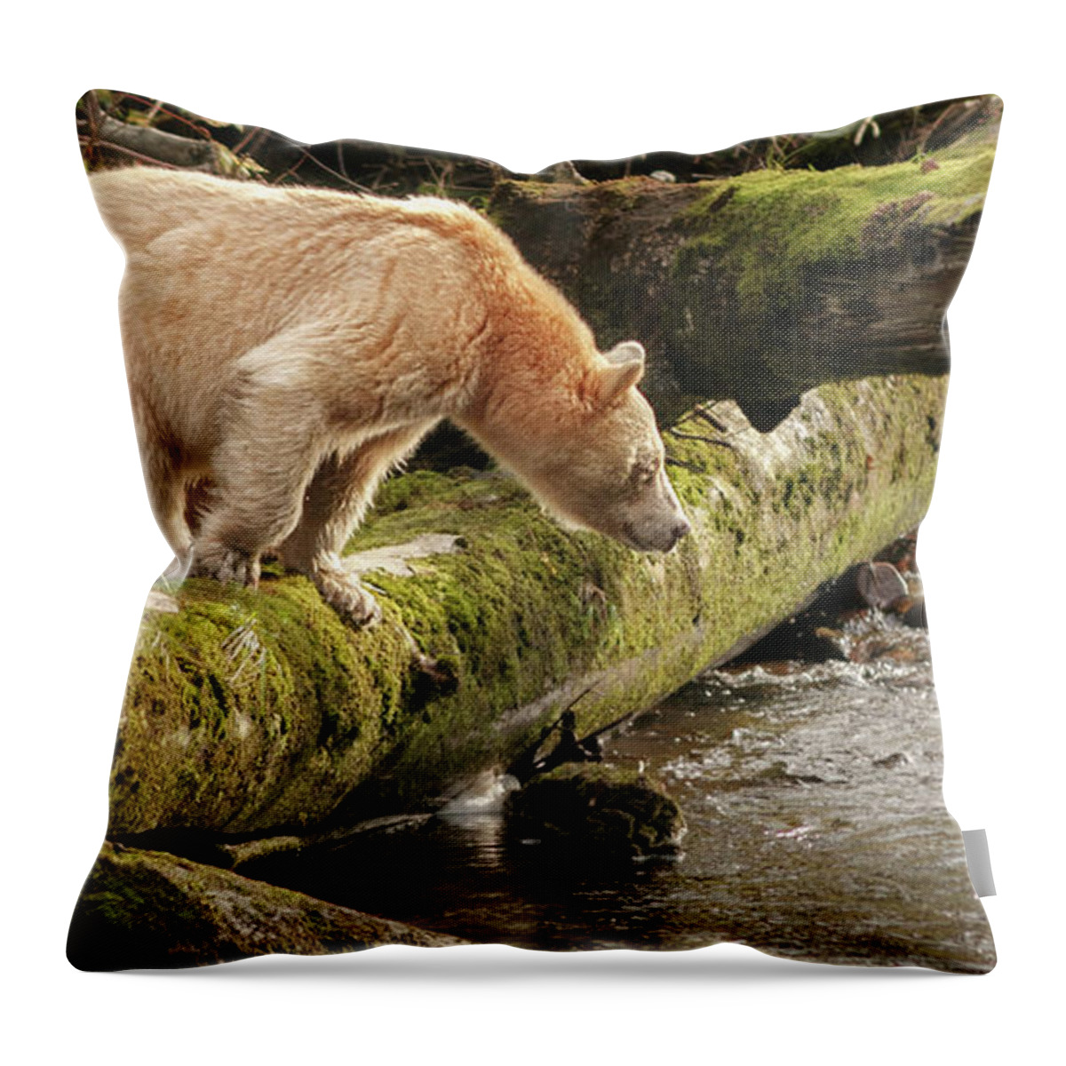 British Columbia Throw Pillow featuring the photograph Spirit Intent on Fishing by Sylvia J Zarco