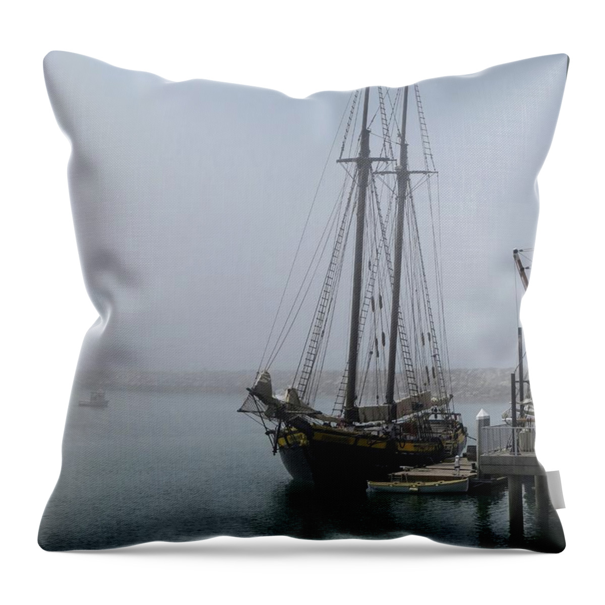 Dana Point Throw Pillow featuring the photograph Spirit of Dana Point by Connor Beekman
