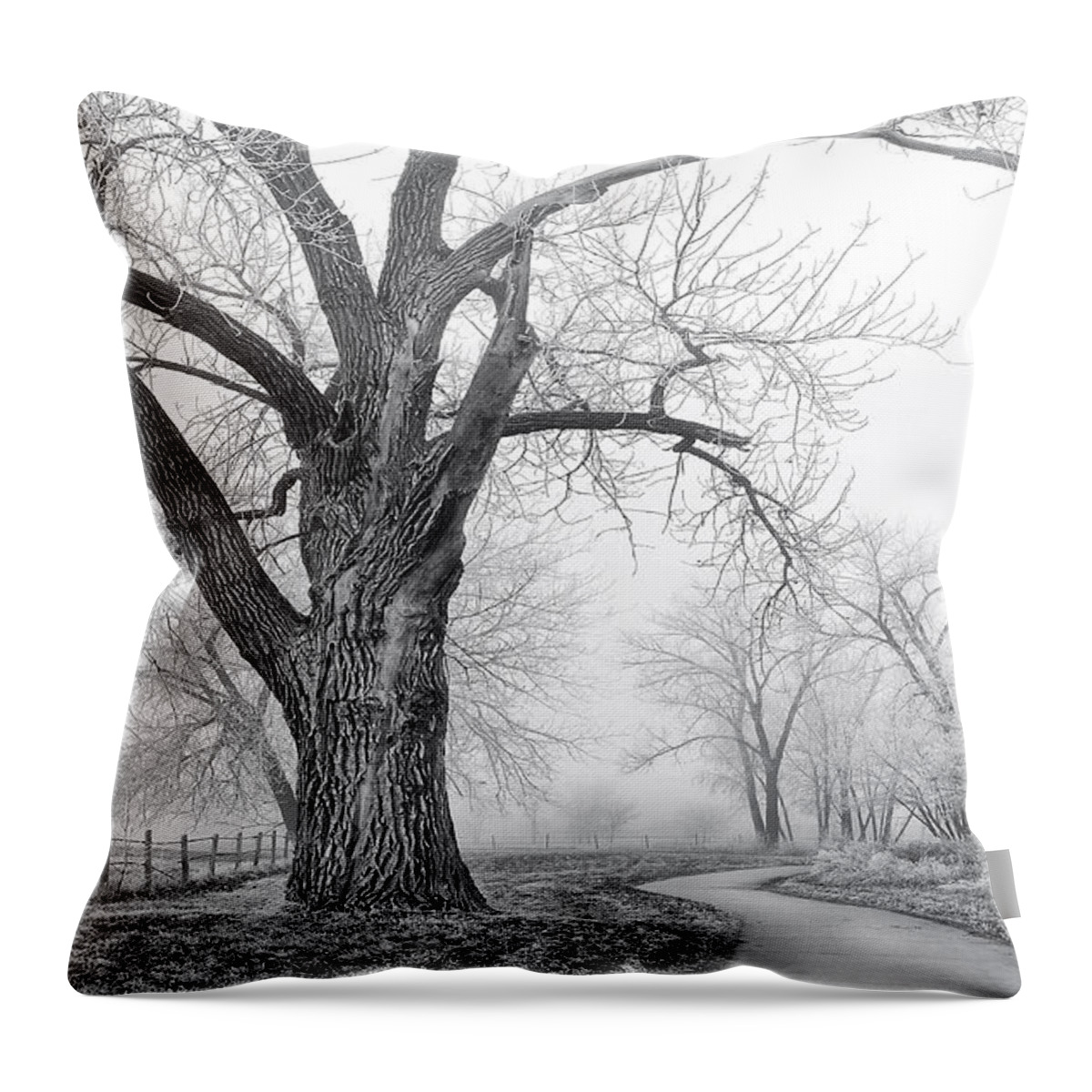Alley Throw Pillow featuring the photograph Spirit Of The Tree by Kadek Susanto