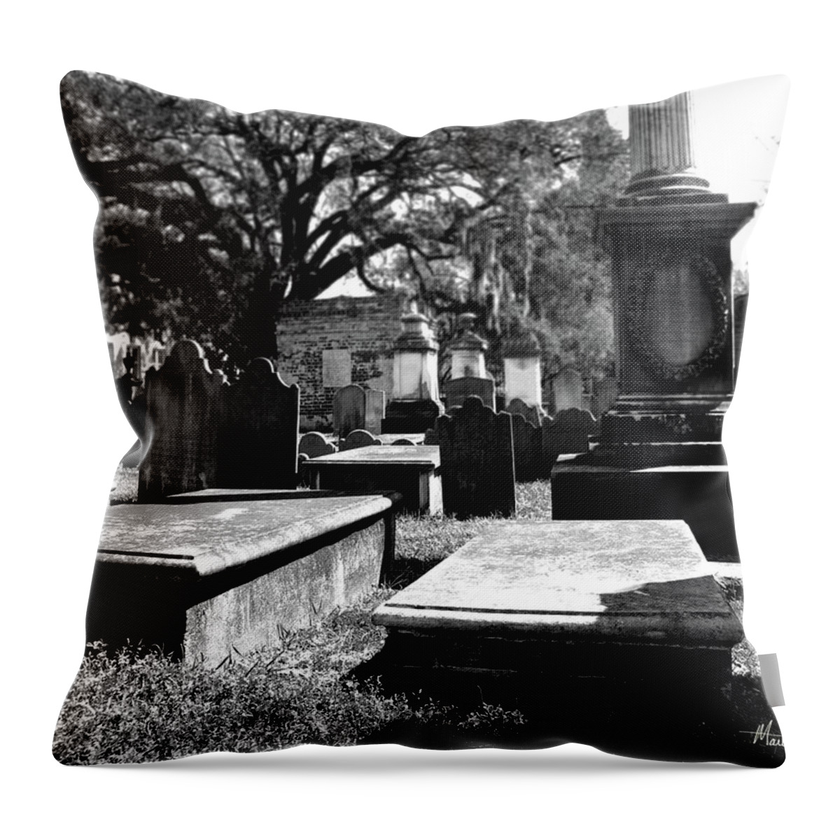 Charleston Throw Pillow featuring the photograph Spirits of Charleston by Marti Green