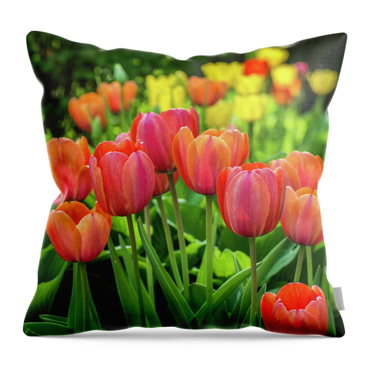Red Throw Pillow featuring the photograph Splash of April Color by Bill Pevlor