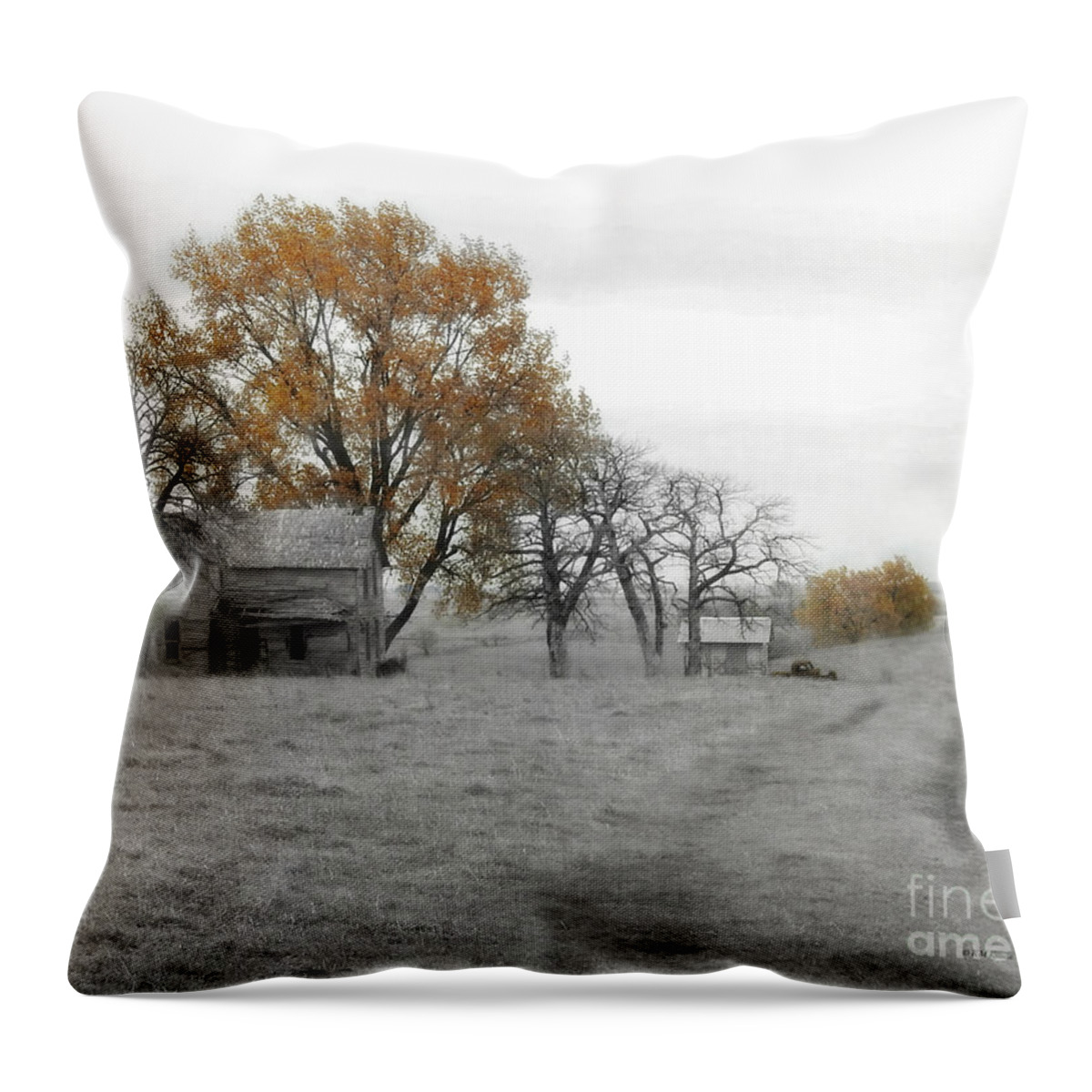 Splash Of Fall Color Throw Pillow featuring the photograph Splash Of Fall Color by Kathy M Krause