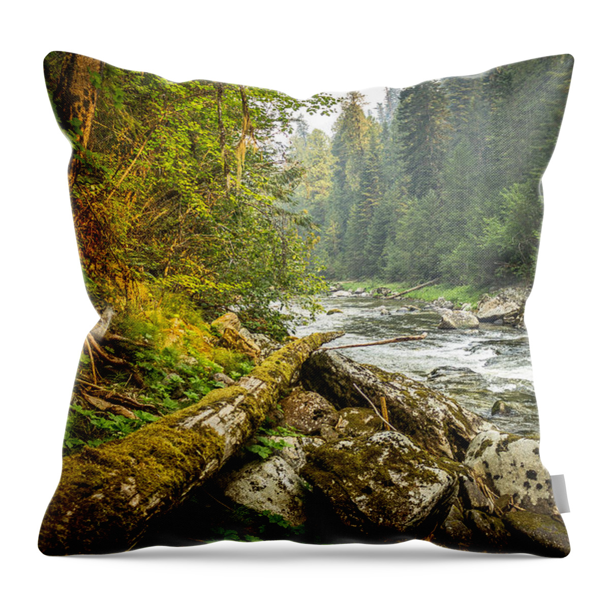Selway Throw Pillow featuring the photograph Splash of Sunlight by Brad Stinson