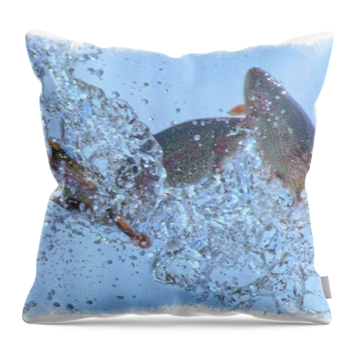 Mouth Throw Pillow featuring the photograph Splashing Trout by Constantine Gregory