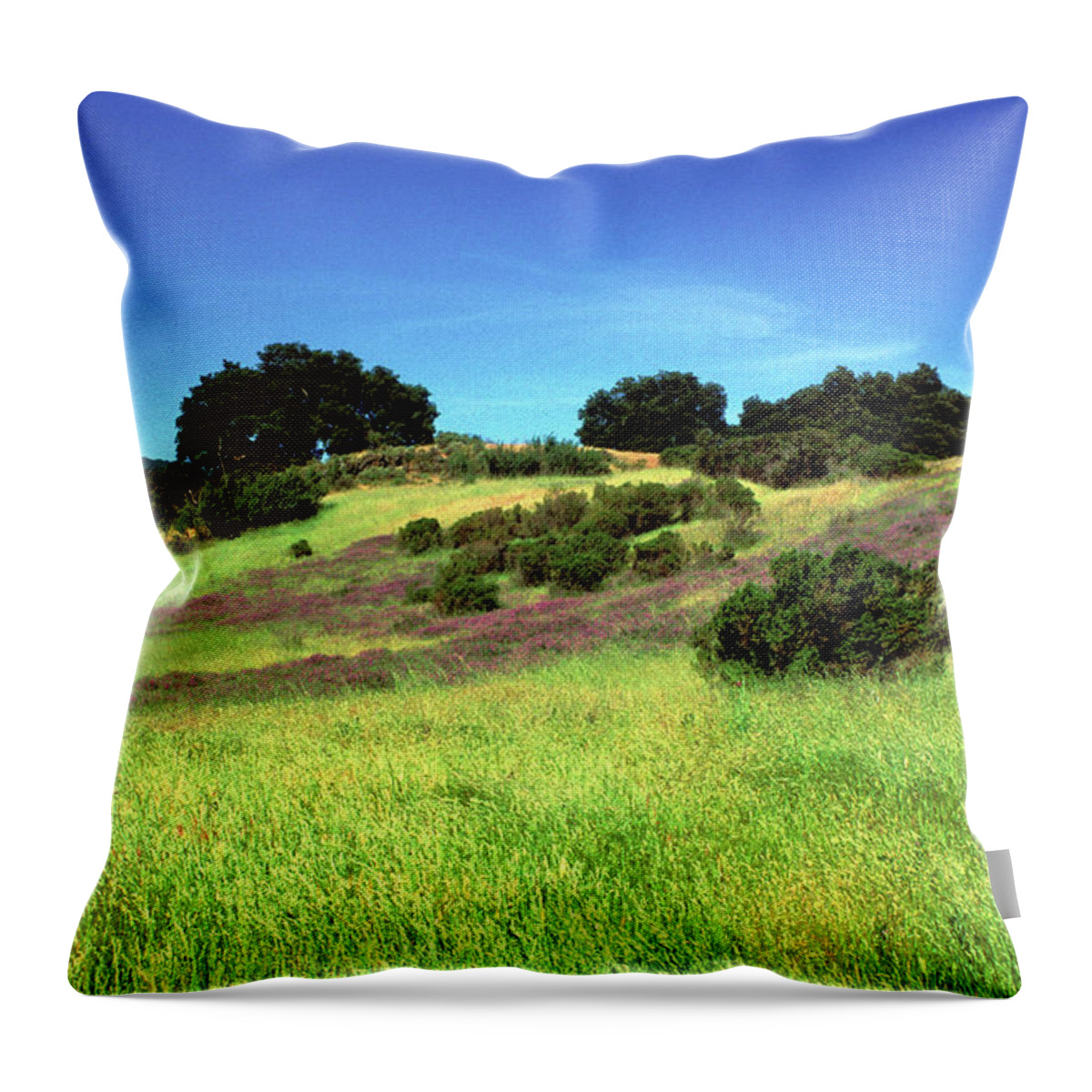 Landscapes Throw Pillow featuring the photograph Splendor in the Grass by Kathy Yates
