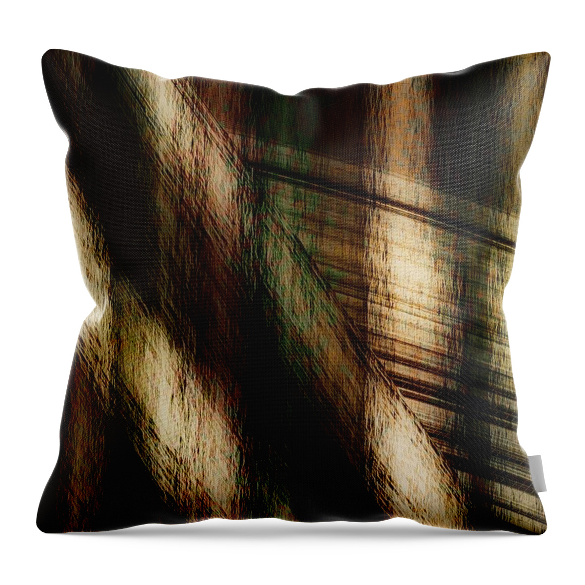 Plaid Throw Pillow featuring the painting Splinter and Fray by RC DeWinter