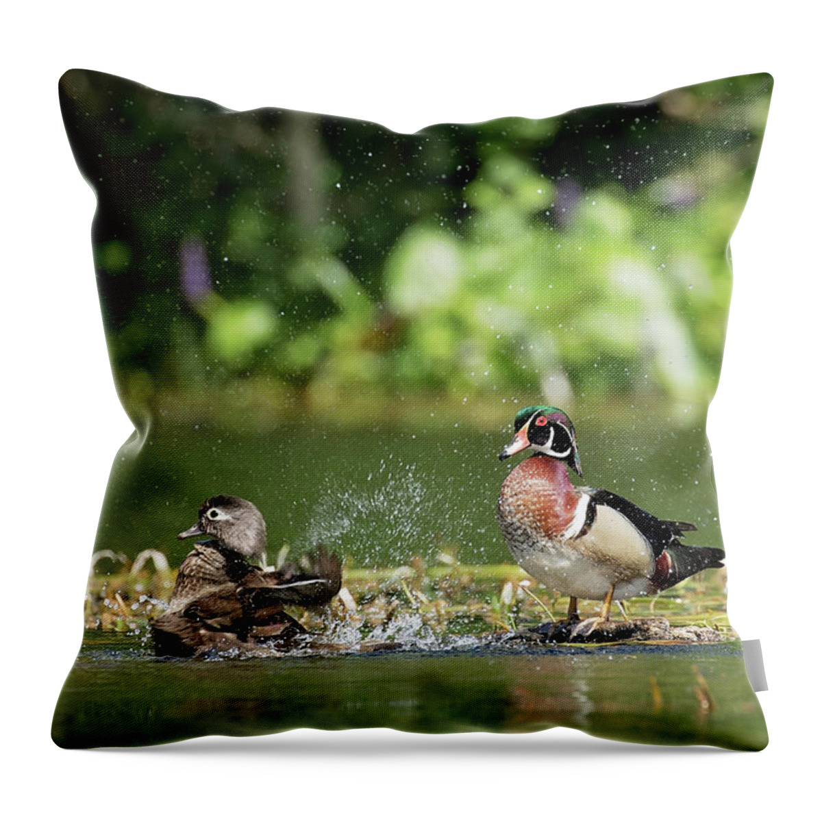 Wood Duck Throw Pillow featuring the photograph Splish Splash by Eilish Palmer