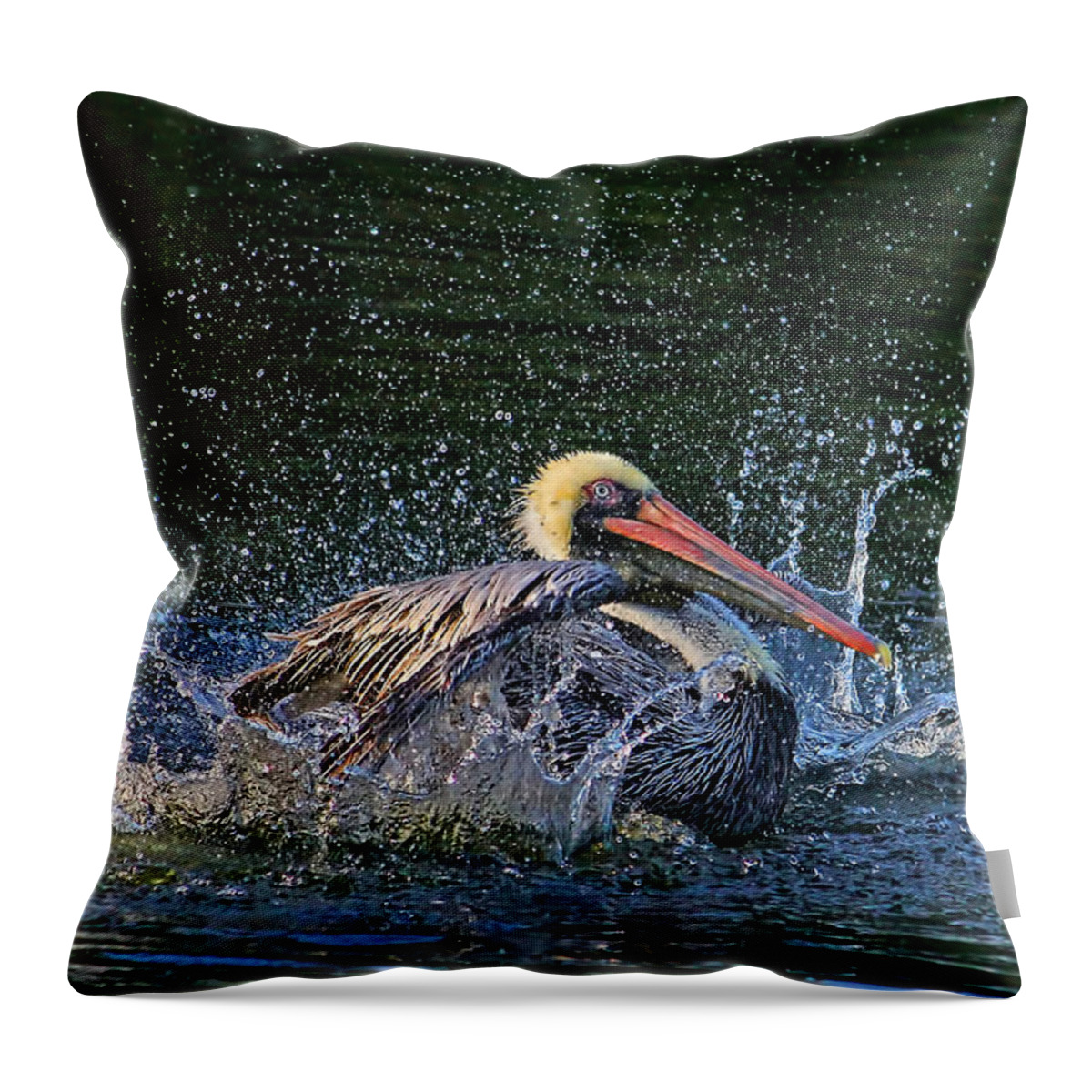 Pelican Throw Pillow featuring the photograph Splish Splash by HH Photography of Florida