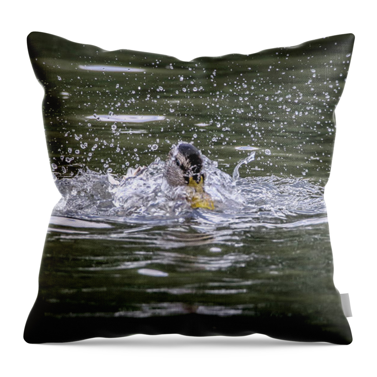 Mallard Throw Pillow featuring the photograph Splish Splash by Ray Congrove