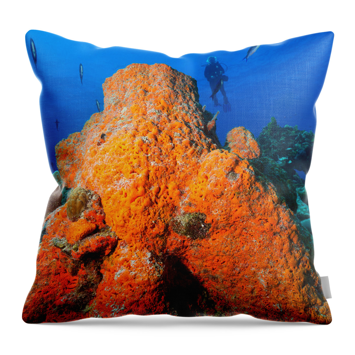 Orange Elephant Ear Sponge Throw Pillow featuring the photograph Sponge Mountain by Aaron Whittemore