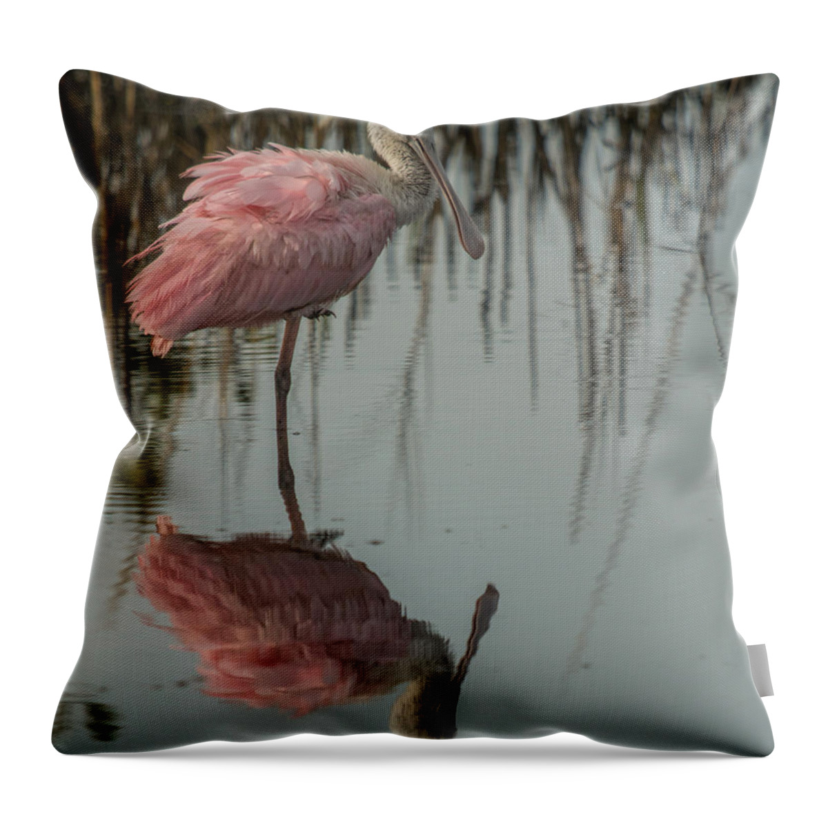 Spoonbill Throw Pillow featuring the photograph Spoonbill by Dorothy Cunningham
