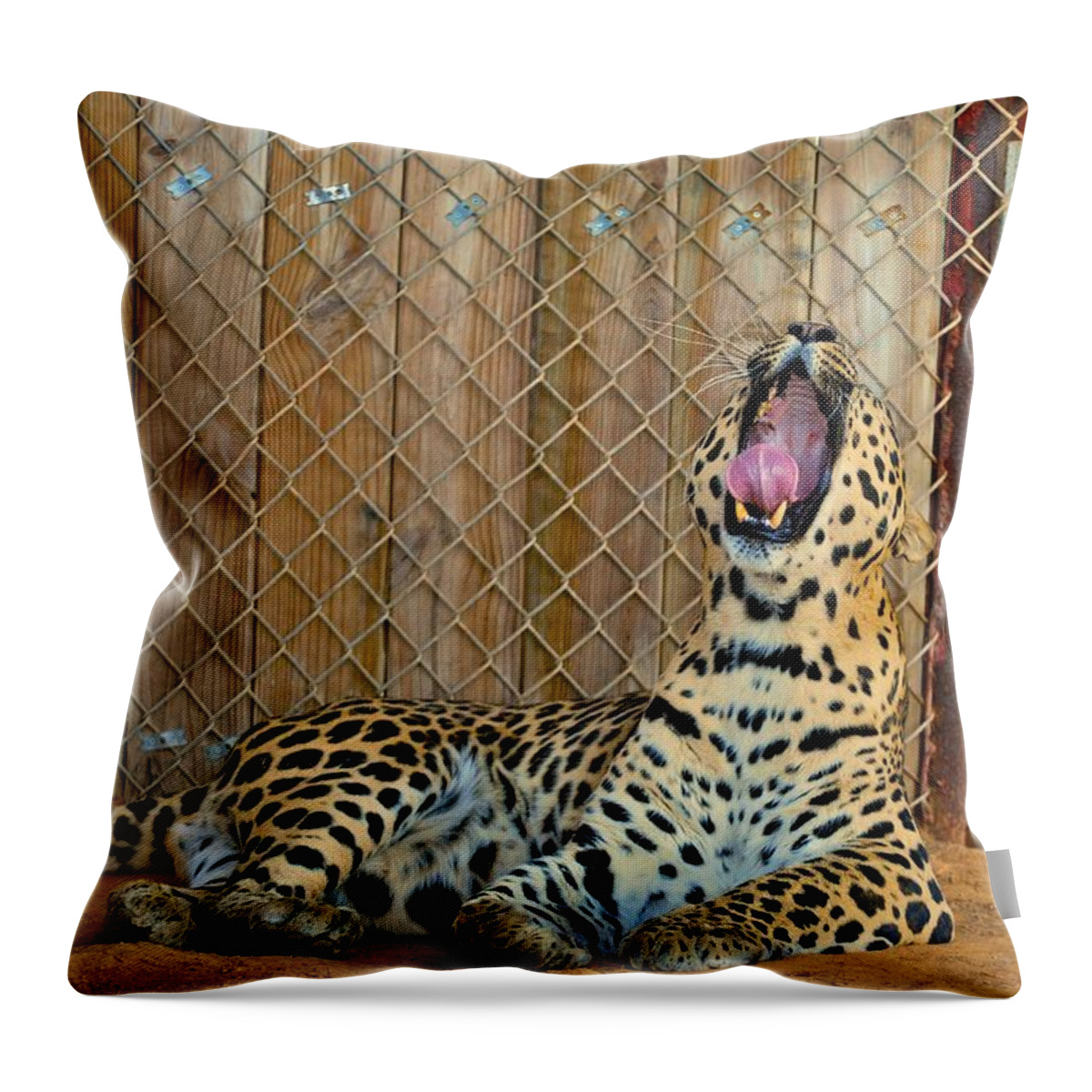 Leopards Throw Pillow featuring the photograph Spot by Donna Shahan