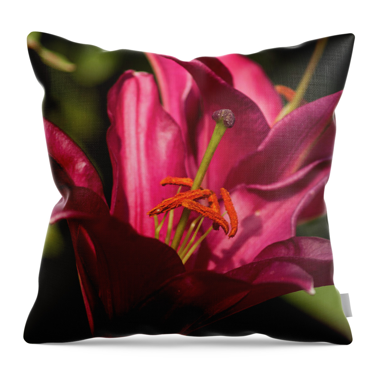Floral Throw Pillow featuring the photograph Spotlight by Stewart Helberg