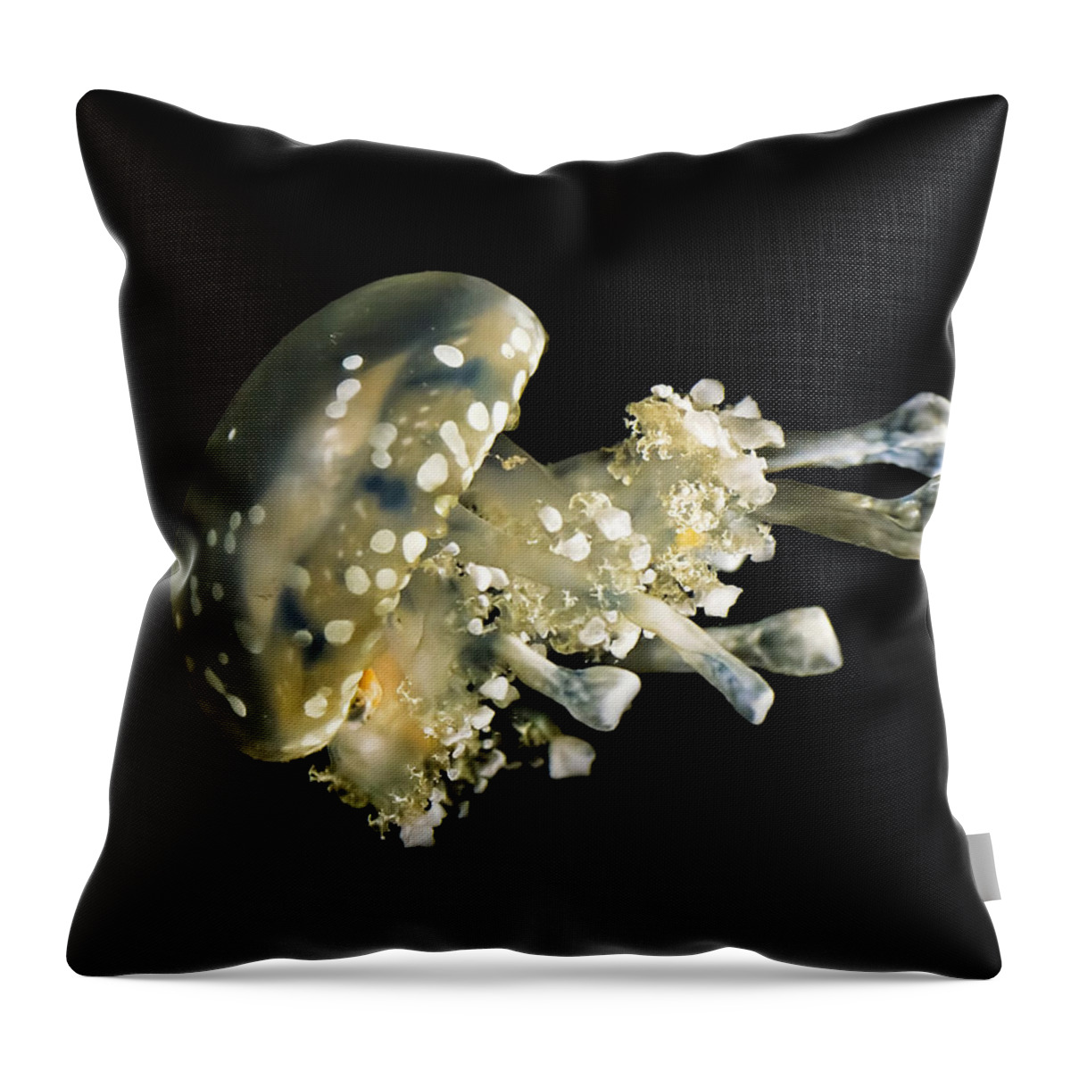 Spotted Jelly Throw Pillow featuring the photograph Spotted Lagoon Jellyfish by Heather Applegate