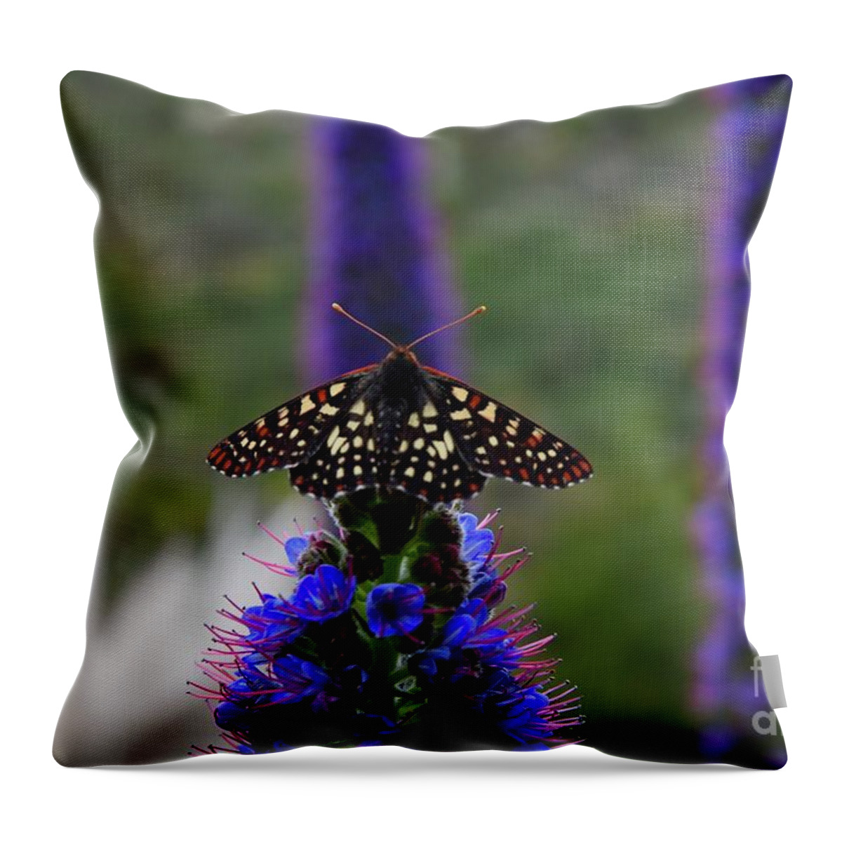 Moth Throw Pillow featuring the photograph Spotted Moth On Purple Flowers by Bruce Chevillat