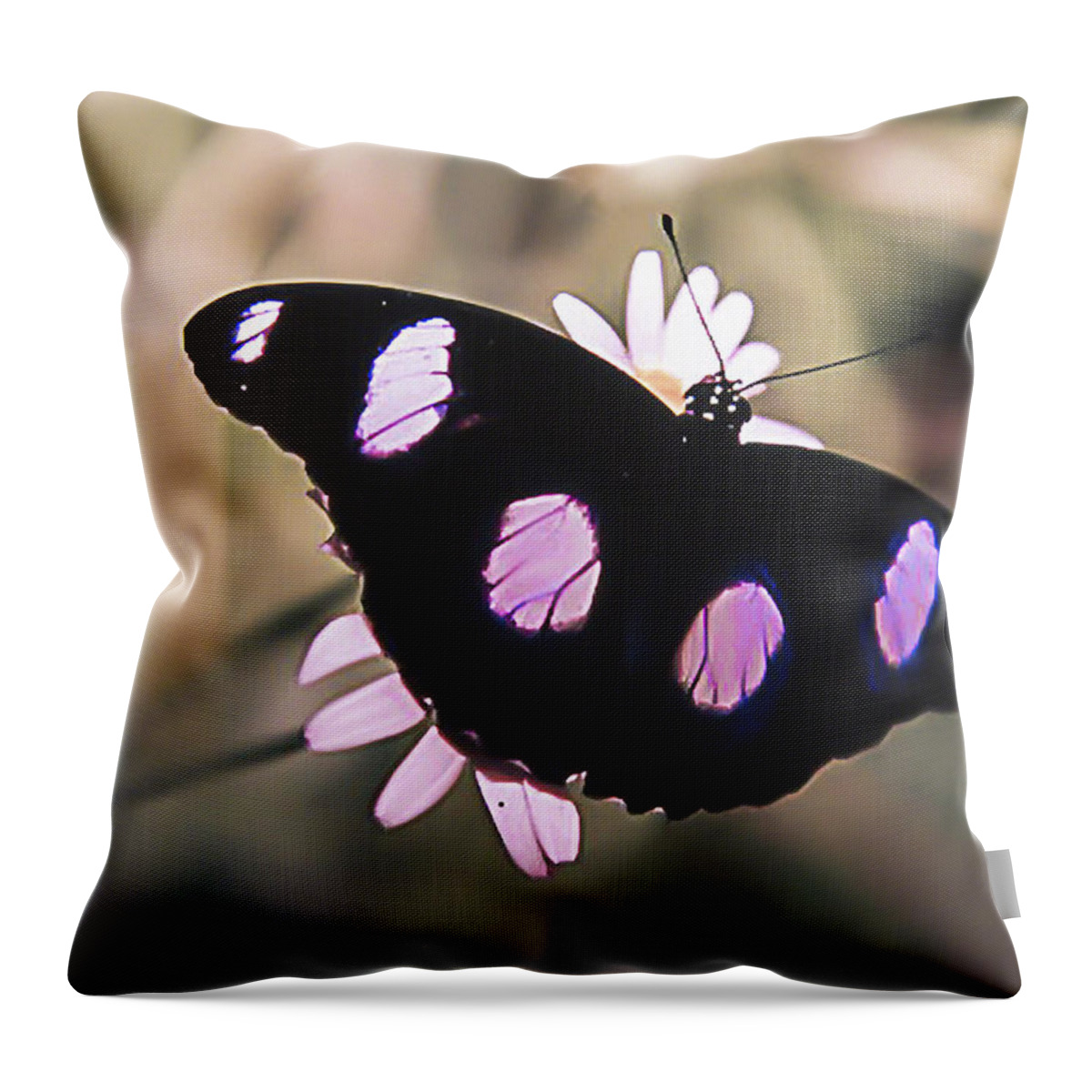 Butterflies Throw Pillow featuring the photograph Spotted by Patrick Kain