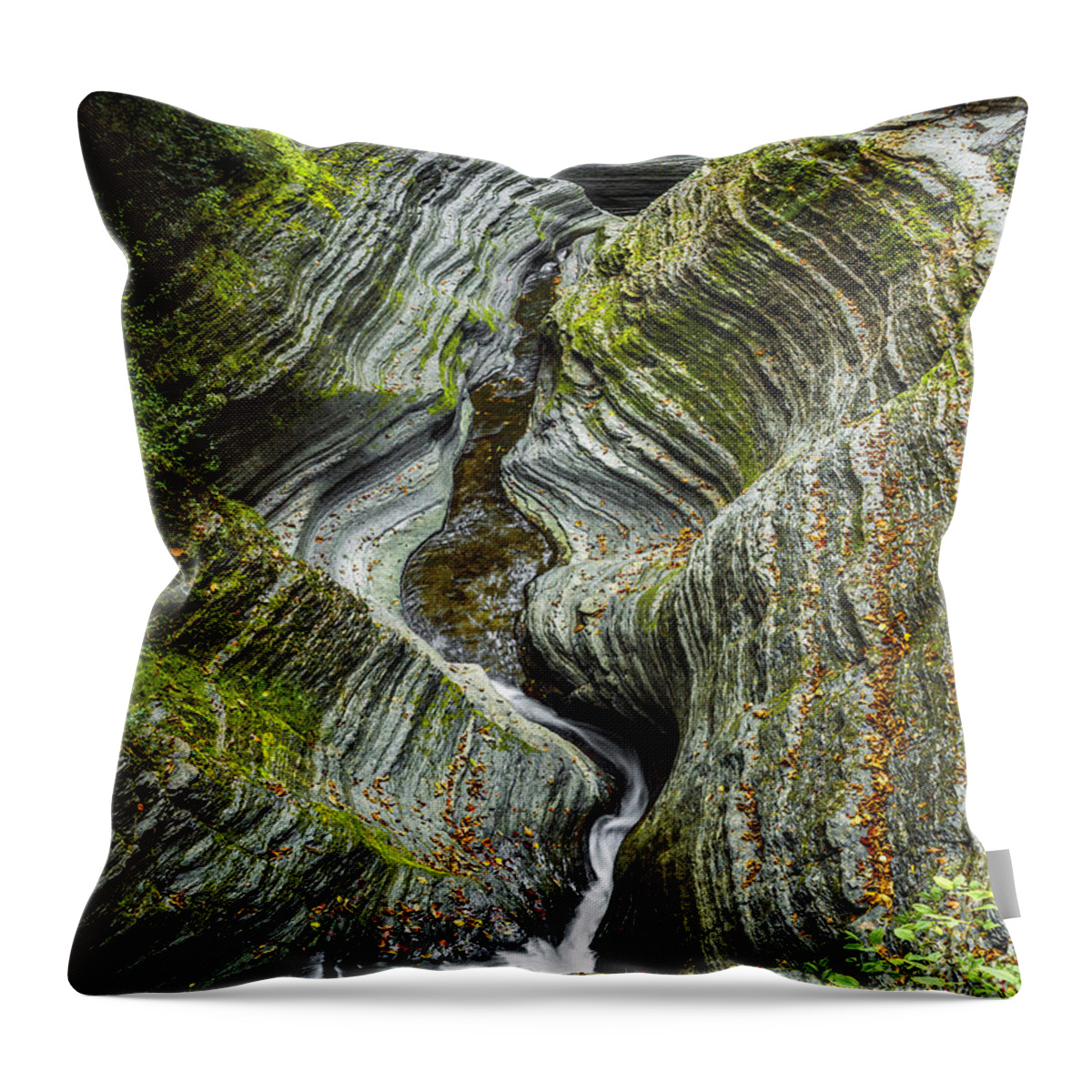 New York Throw Pillow featuring the photograph Sprial Tunnel Gorge Near Cavern Cascade by Karen Jorstad