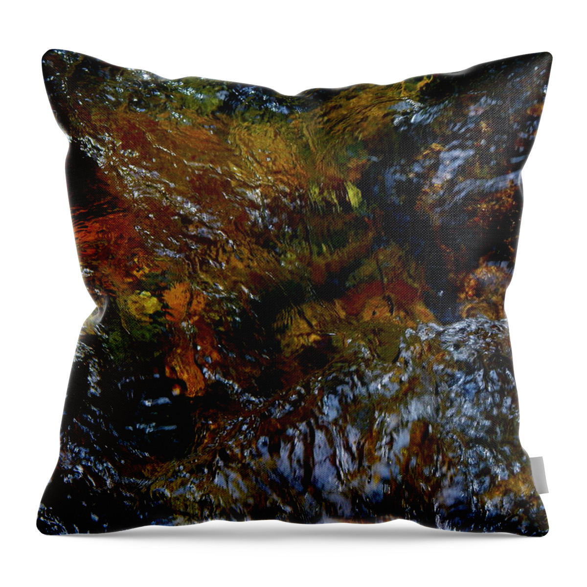 Color Close-up Landscape Throw Pillow featuring the photograph Spring 2017 109 by George Ramos