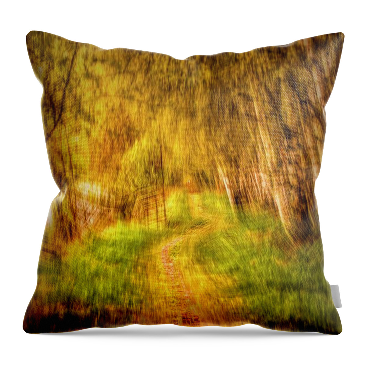 Path Throw Pillow featuring the digital art Spring 2017 #g3 by Leif Sohlman