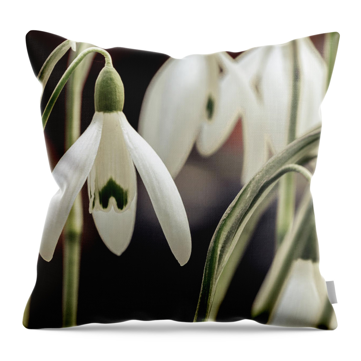 Nature Throw Pillow featuring the photograph Spring by Andreas Levi