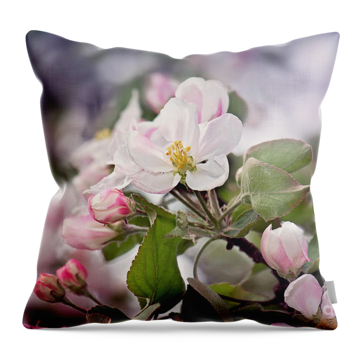 Spring Apple Blossom Print Throw Pillow featuring the photograph Spring Apple Blossoms by Gwen Gibson