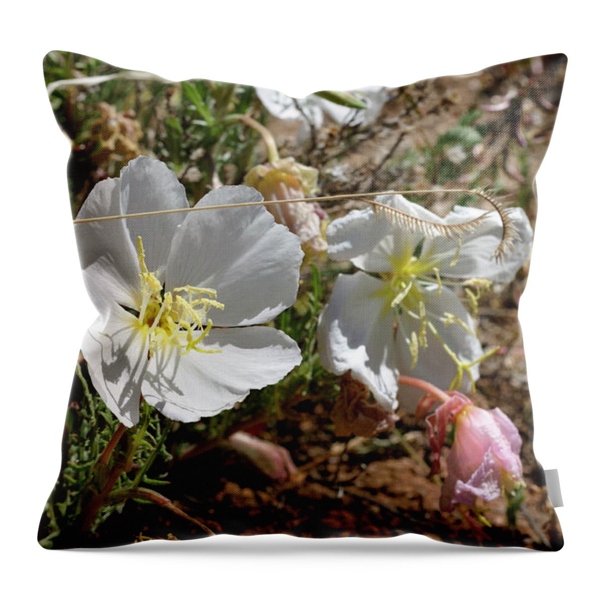 Landscape Throw Pillow featuring the photograph Spring at Last by Ron Cline