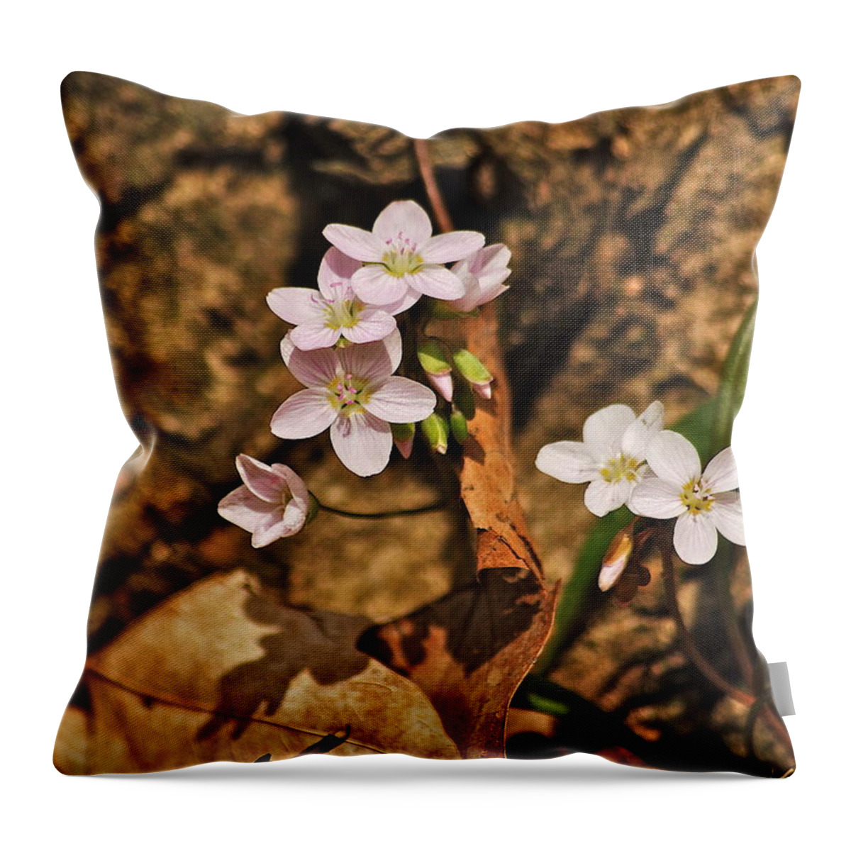 Spring Throw Pillow featuring the photograph Spring Beauty by Michael Peychich