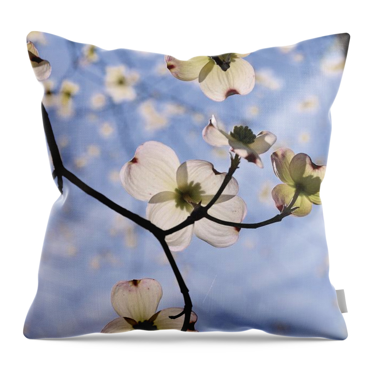 Spring Blossoms In The Sky Throw Pillow featuring the photograph Spring Blossoms In The Sky by Lisa Wooten