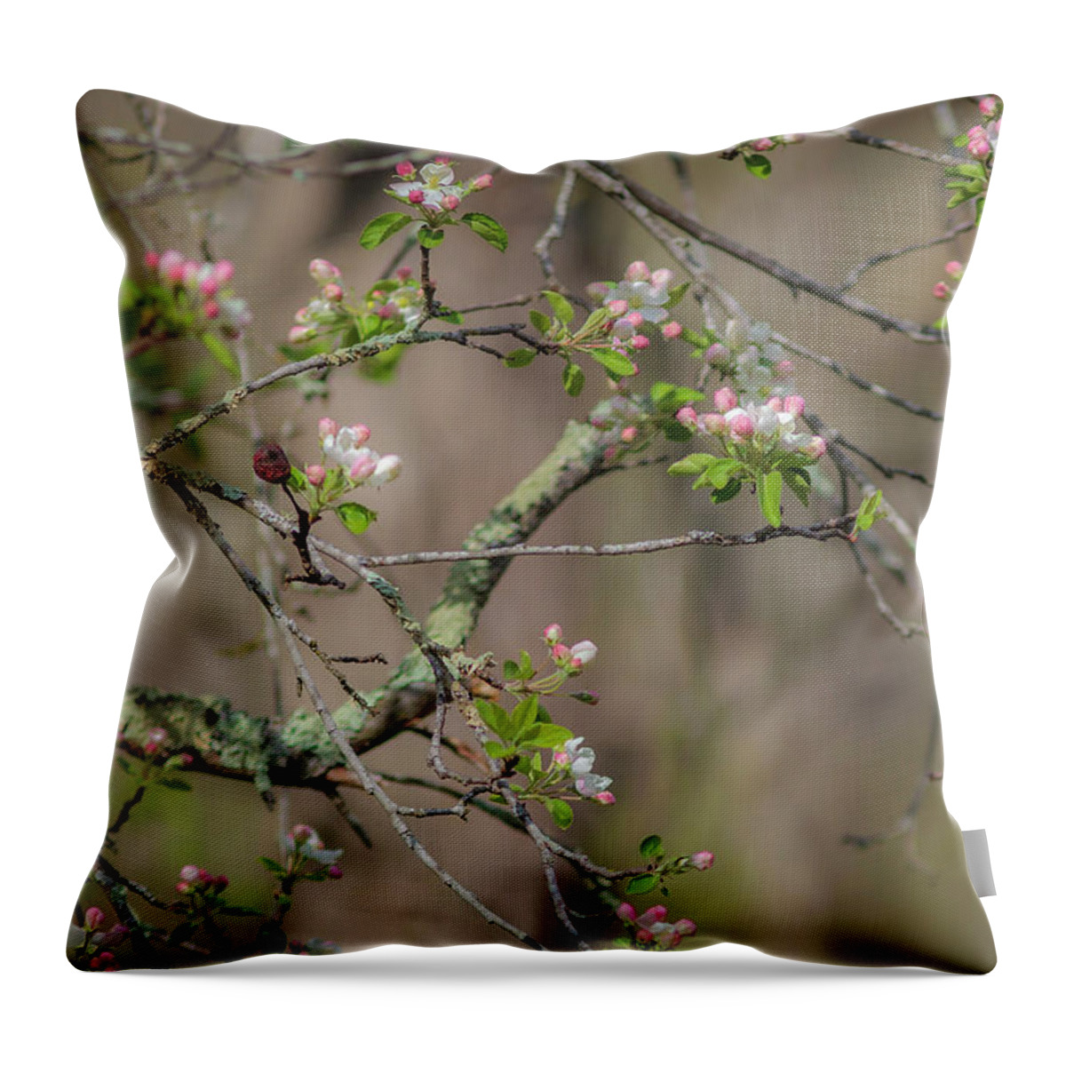 300 Mm F/4 Is Usm Throw Pillow featuring the photograph Spring Blossoms 2 by Mark Mille
