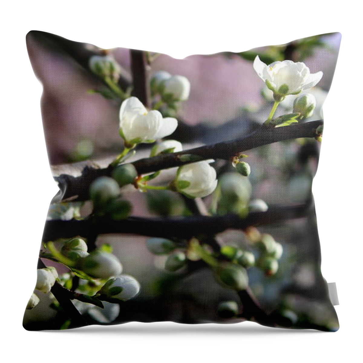 Blossom Throw Pillow featuring the photograph Spring Blossoms by Mina Thompson